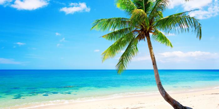 5000x3456 Tropical Beach Wallpapers | Tropical | Beach wallpaper, Beach, Beach