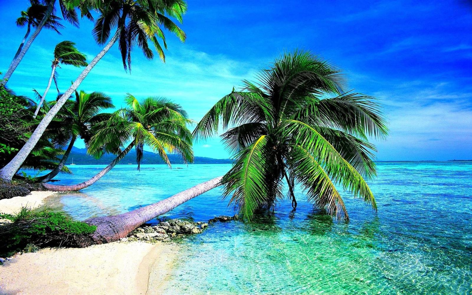 1920x1200 Tropical Beach HD Wallpaper (68+ images)