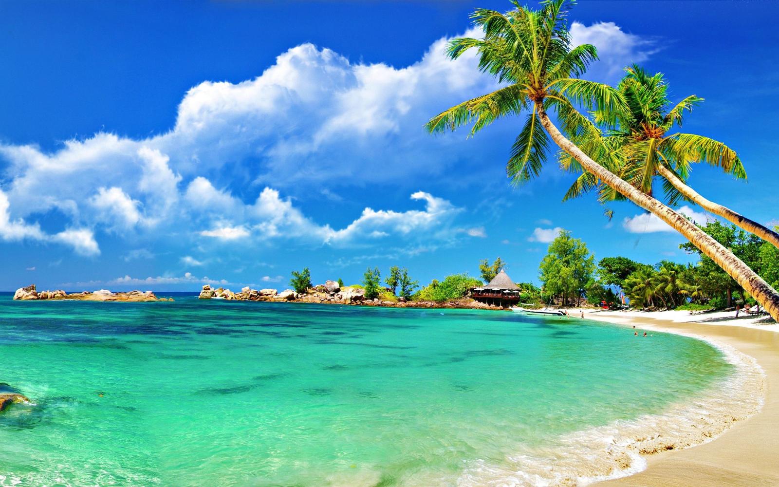 2560x1600 50 AMAZING BEACH WALLPAPERS FREE TO DOWNLOAD | Travel | Beach