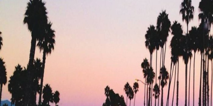 720x1280 Night Time Cali Wallpaper by Gid5th - 52 - Free on ZEDGE™