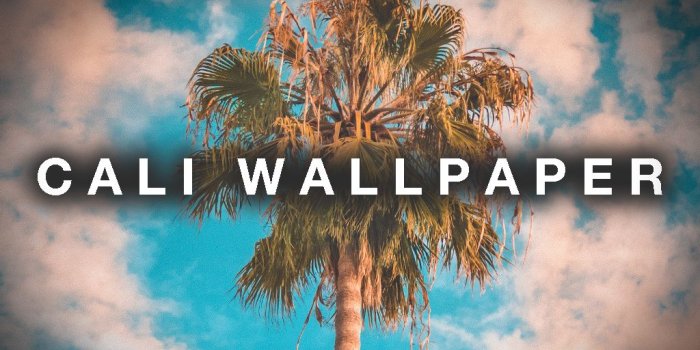 1024x768 THE BMAC CALI WALLPAPER — BMAC