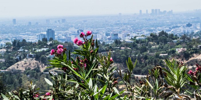 3840x2160 3093079 3840x2160 cali, california, city, friendlylocalguides