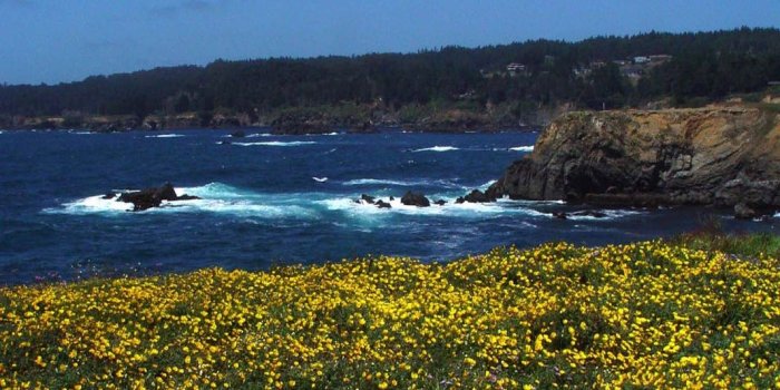 1066x800 45+] Northern Cali Wallpaper on WallpaperSafari