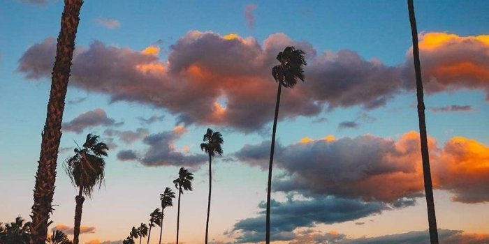 1024x1280 Palm Springs California by @mcgeephotografy by CaliforniaFeelings