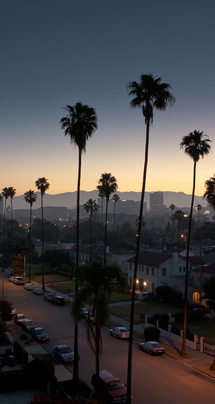 710x1334 Dope Cali Wallpapers - Top Free Dope Cali Backgrounds - WallpaperAccess