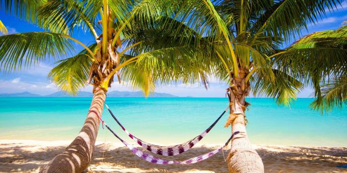 2560x1440 Tropical Beach Hammock ❤ 4K HD Desktop Wallpaper for 4K Ultra HD TV