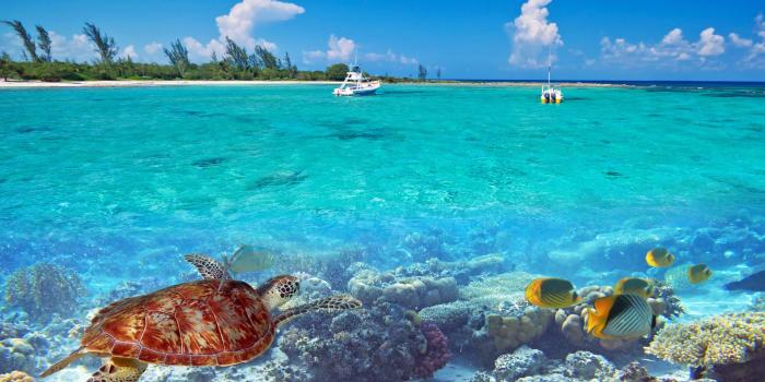 1920x1280 My Tropical Beach Summer Vacation Wallpapers - MyStart