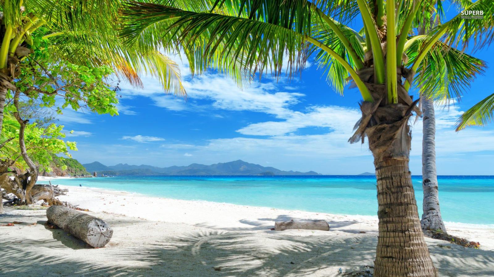 1920x1080 Tropical Beach Scenes Wallpaper (49+ images)