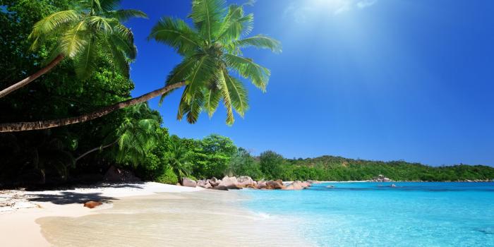 2560x1600 Tropical beach wallpaper | 2560x1600 | #32294