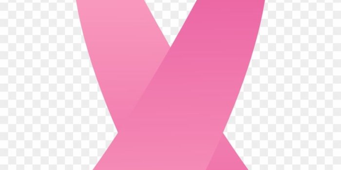 840x1407 Gayathri Name Wallpapers - Transparent Background Pink Breast Cancer