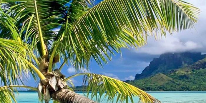 750x1334 30 HD Tropical Beach iPhone Backgrounds