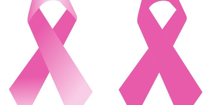1979x1406 27 Cancer Clipart pink ribbon Free Clip Art stock illustrations