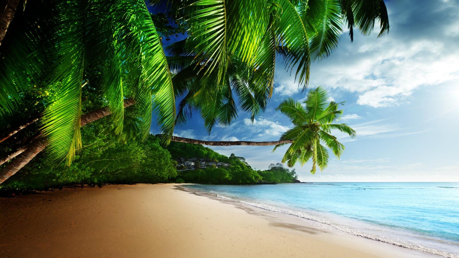 3840x2160 Tropical Beach Paradise 4K Ultra HD Desktop Wallpaper
