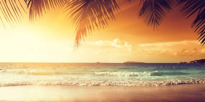 3840x2160 Tropical Beach With Palm Trees At Sunset UHD 4K Wallpaper | Pixelz