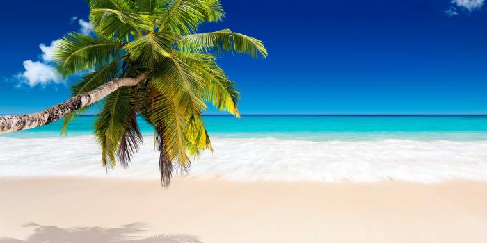 5360x3015 Tropical Beach Picture 4k HD Wallpaper for Desktop