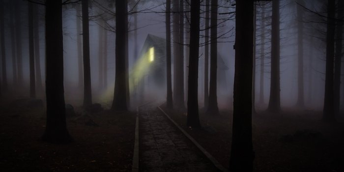 3840x2160 63+ Haunted Forest Wallpapers on WallpaperPlay