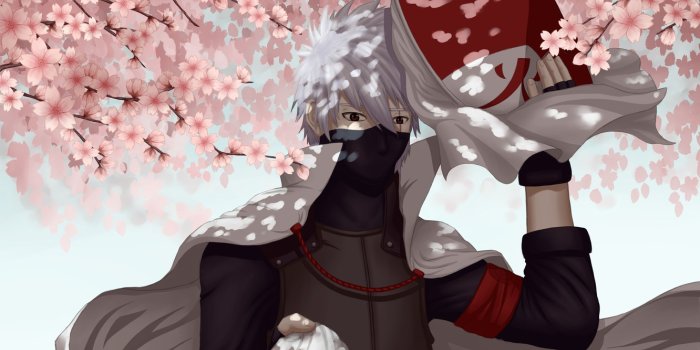 1332x850 Photo Wallpaper Sakura, Flowering, Naruto, Art, Hatake - Kakashi