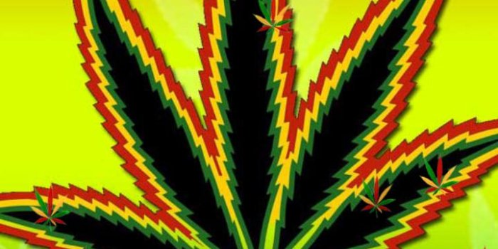 720x1280 Weed HD Live Wallpaper for Android - APK Download