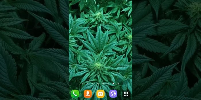 1280x720 Weed Live Wallpaper