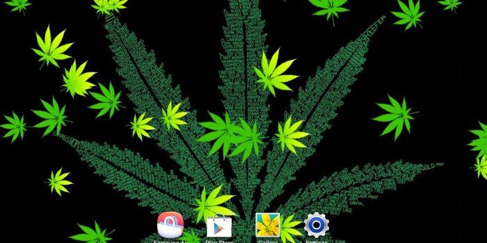 1280x800 47+] Live Weed Wallpaper for Desktop on WallpaperSafari
