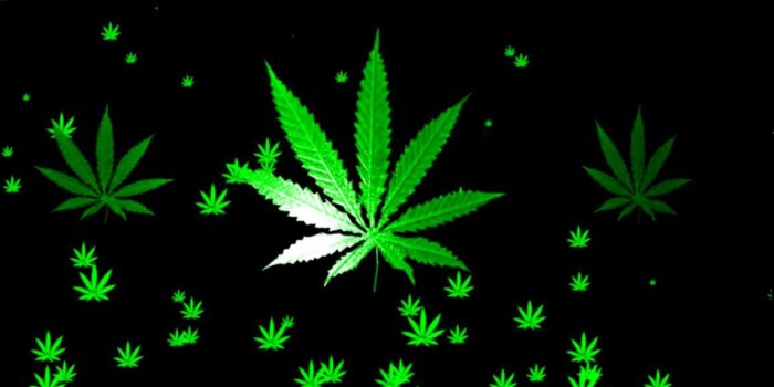 1130x714 3D Wallpaper Weed Leaf Wallpapers Hd | Wallpapers Record