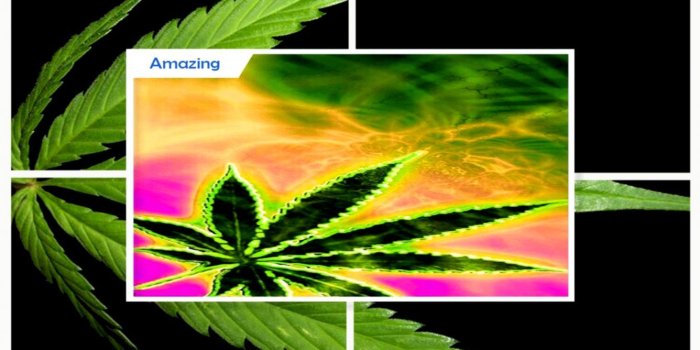 1336x752 Weed Live Wallpaper | Zedge Wallpapers