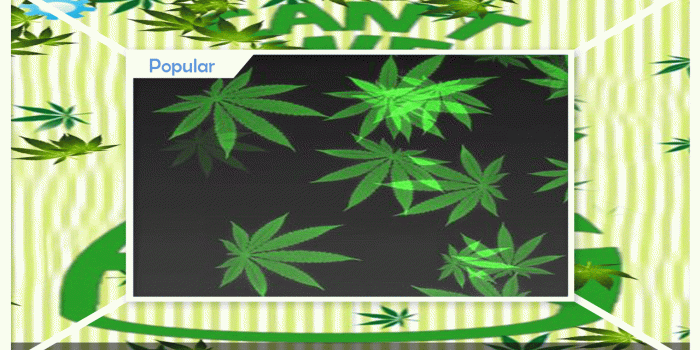 1280x720 Rasta Weed Live Wallpaper 7.1 APK Download - Android cats.art_design