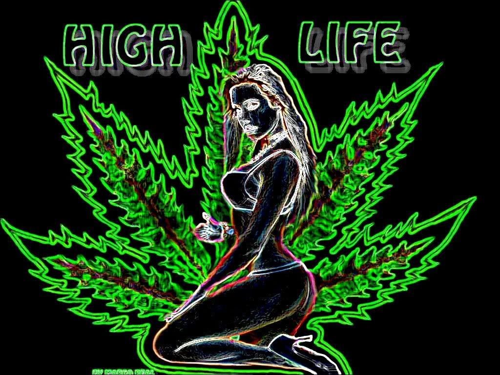 1024x768 Weed Wallpaper Free – Epic Wallpaperz
