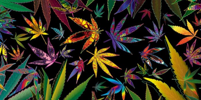 1600x1200 Free live weed wallpapers Gallery