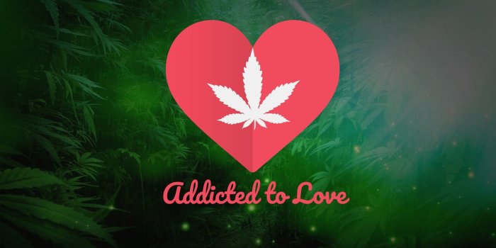 2560x1600 10 Wallpaper Live Weed - Download Wallpaper HD For PC Computer & Android