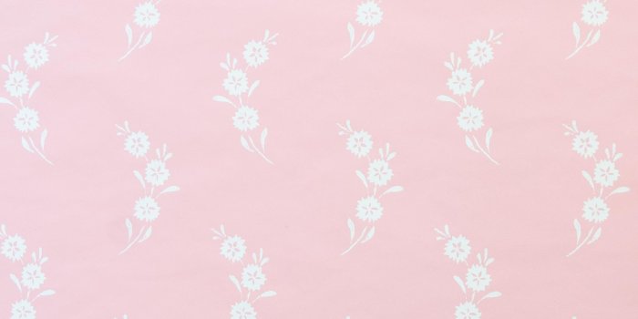 2066x2300 Sally Wallpaper