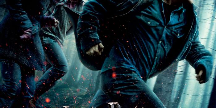 1600x2366 Harry-Potter-Deathly-Hallows-Wallpaper-Poster – Program Council