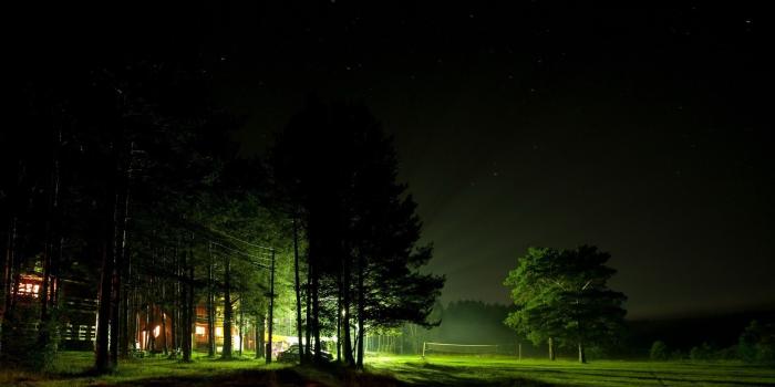 1920x1080 Tech Skeleton on Mobile Wallpapers in 2019 | Downlights