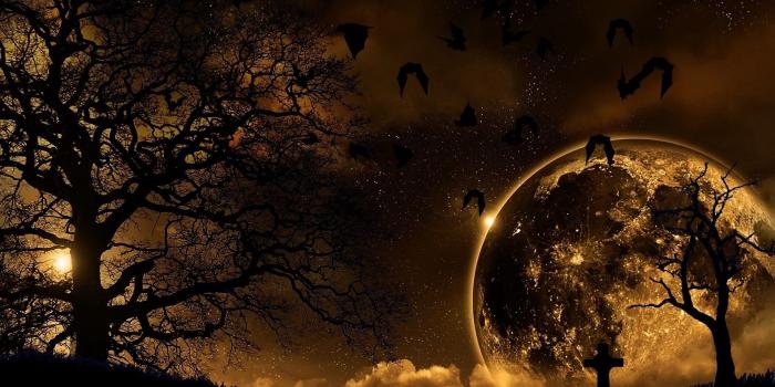 1920x1080 Download wallpaper 1920x1080 trees, nature, night, planet, birds