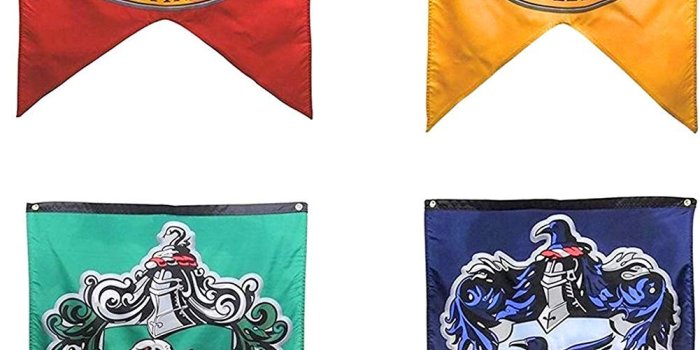 1001x1500 Harry Potter Complete Hogwarts House Wall Banners, Ultra Premium Double  Layered Indoor Outdoor Party Flag - Gryffindor, Slytherin, Hufflepuff,