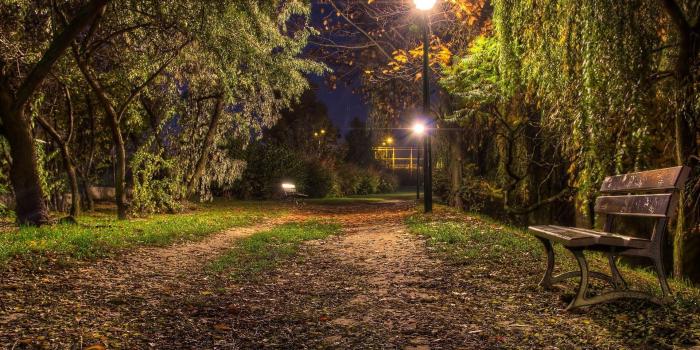 1920x1200 Nature Night Look and Bench Fantacy Wallpapers | HD Wallpapers