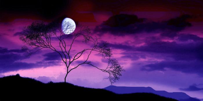 1920x1080 Blue Night And Moon Nature HD Wallpapers - HD Wallpapers