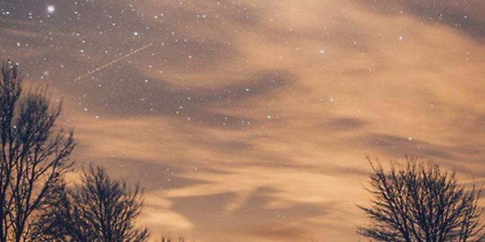 1080x1920 Nature Night Shiny Road Endless Tree Roadside - Nature Wallpaper For