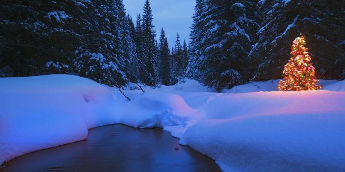 1920x1200 35+ Christmas Winter Nature Wallpapers - Download at WallpaperBro