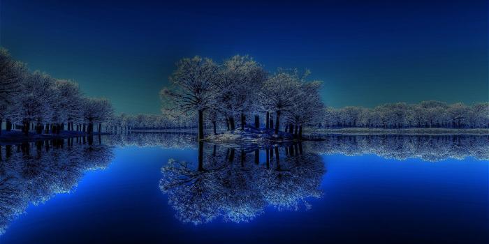 1920x1200 Free Hd Winter Night Nature Wallpapers Desktop Download