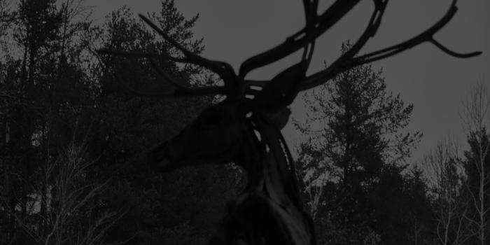 5899x3932 B and W Metal Stag 4K wallpaper