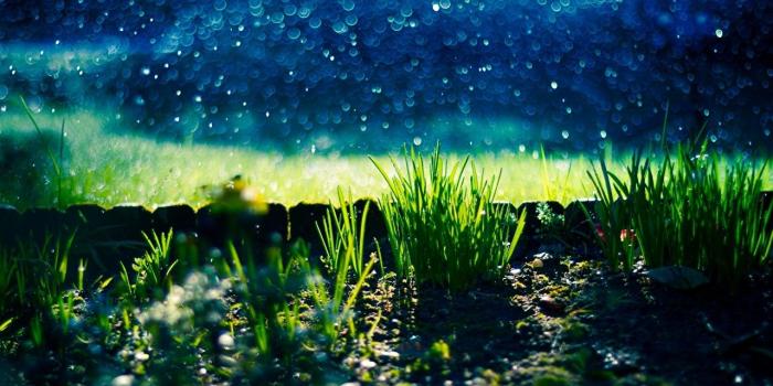 1280x800 Pictures Nature Night Grass