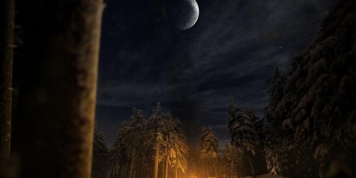 1600x1200 Night Forest Wallpapers