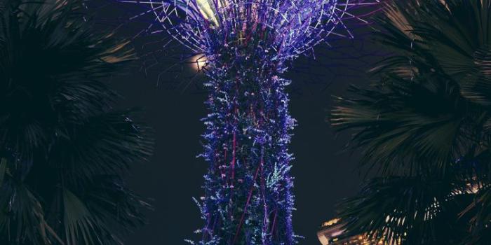 750x1334 Landscape Design, Midnight, Creative Arts, Night, Nature Wallpaper