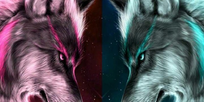 720x1280 Fire And Ice Wolf Wallpaper - Fire And Ice Wolf Free Wallpaper