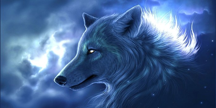2560x1600 Fantasy Wolf Wallpaper HD #7035707