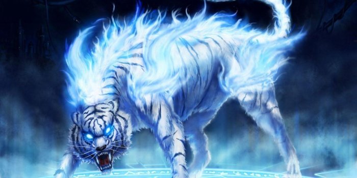 1280x800 Fire Wolf Wallpaper - Nutrisi glucolife