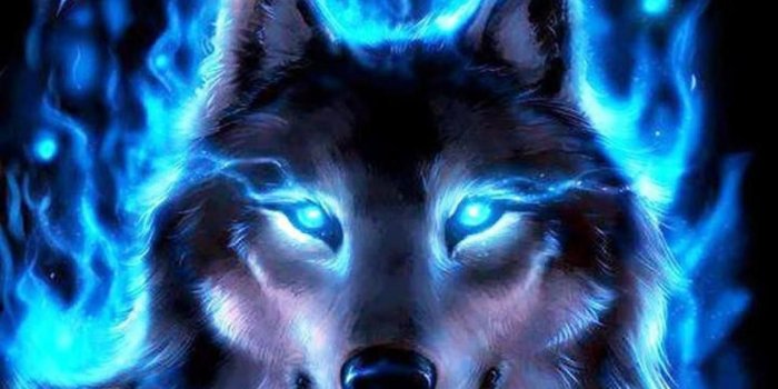 1280x1024 Wolf Cool wallpapers Collection