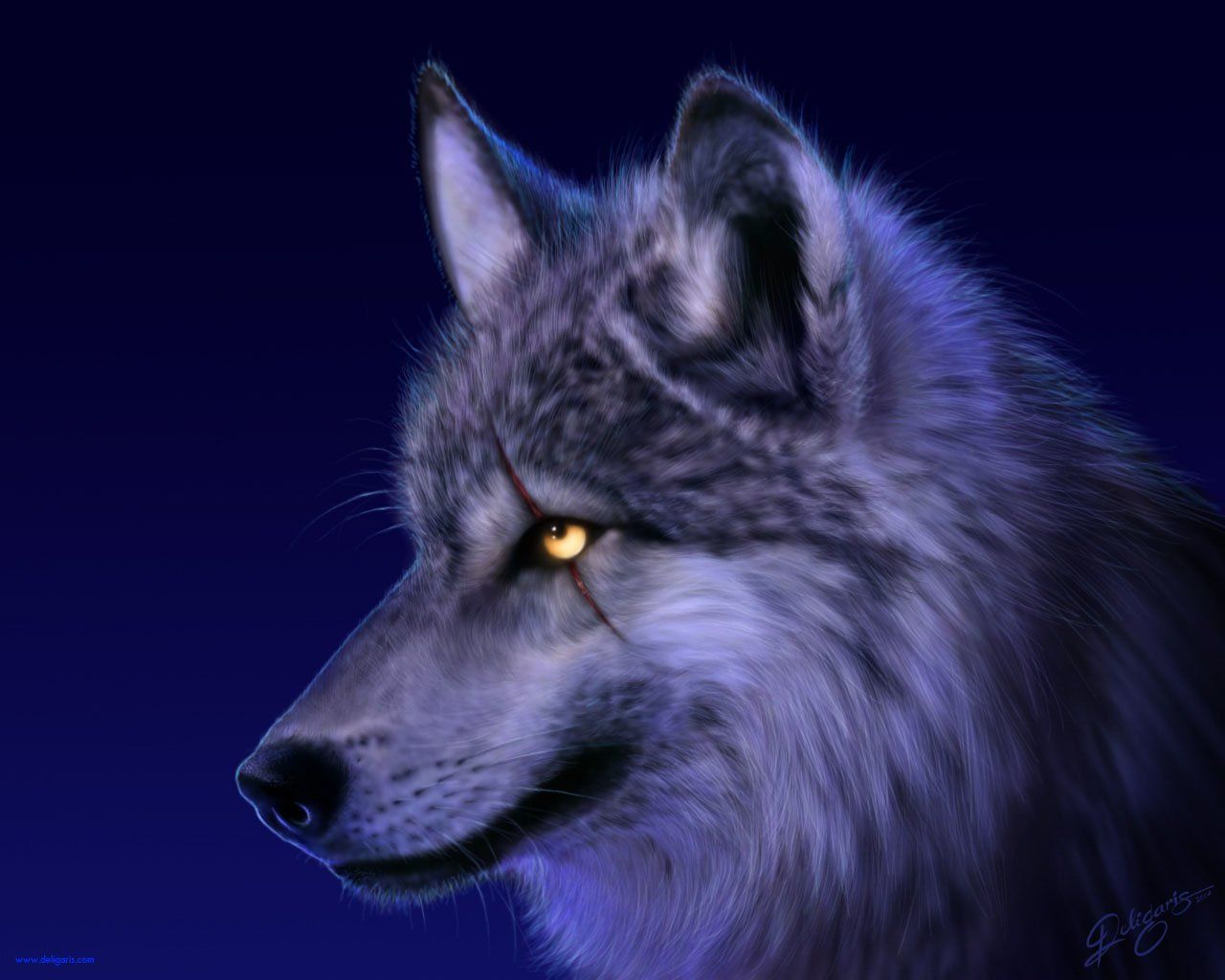1280x1024 991 Wolf HD Wallpapers | Background Images