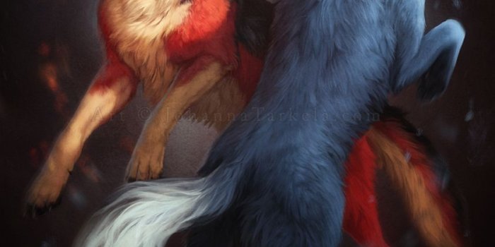 842x1191 Fire Wolf Vs Ice Wolf Wallpapers